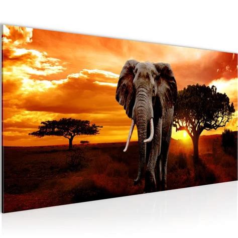 Runa art Tableau Décoration Murale Éléphant d Afrique 100x40 cm 1