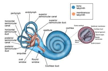 Labyrinthitis Background Etiology Epidemiology