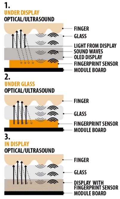 4 Types Of Fingerprint Scanners Deep Dive Into How They Work ClockIt