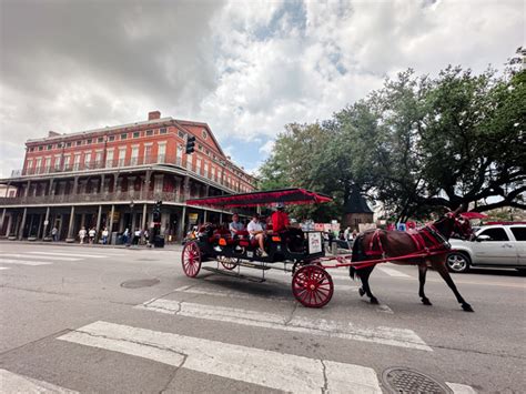 New Orleans in March: Weather, What to Do, and Tips for Visitors in ...