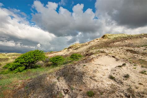 De Rellen Duinen Bij Wijk Aan Zee