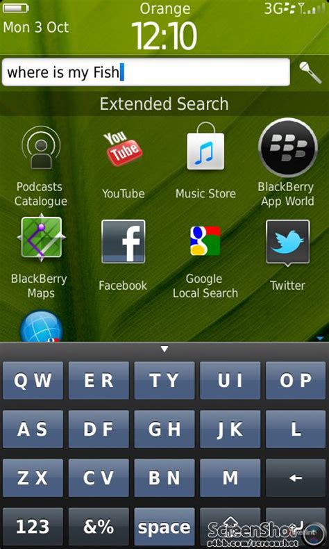 BlackBerry Torch 9860