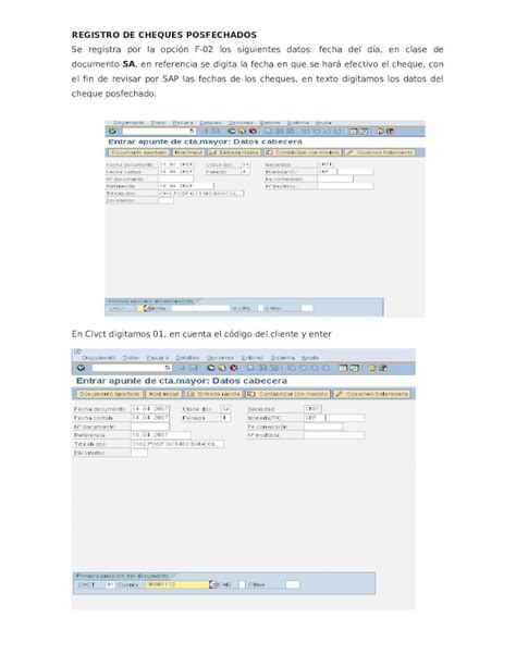 Docx Registro De Cheques Posfechados Manual Sap Dokumen Tips