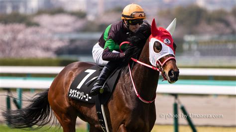 【競馬壁紙】ラヴズオンリーユー｜パソコンpc・スマホiphonexsxr対応 【馬空 Umazora 】競馬写真・オリジナル競馬