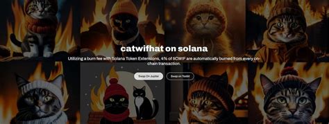 Top 3 meme coin gems on Solana (10000x) : r/memecoinmoonshots