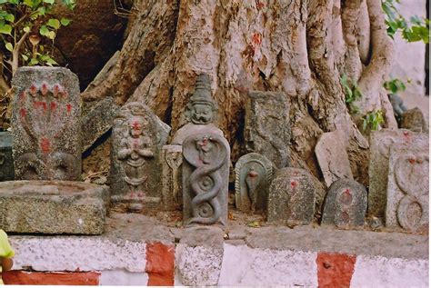 For Getting Fresh Air Naga Rainbow Serpent Hindu Festivals