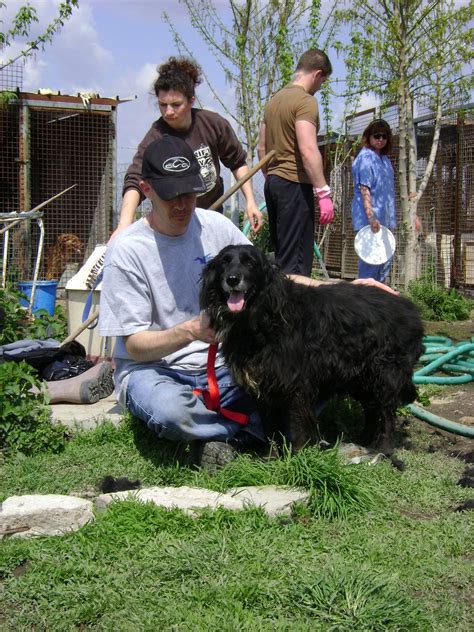 shelter mission | Animals Without Limits