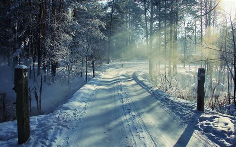 Baggrunde Sollys Landskab Skov Natur Sne Vinter Morgen T Ge