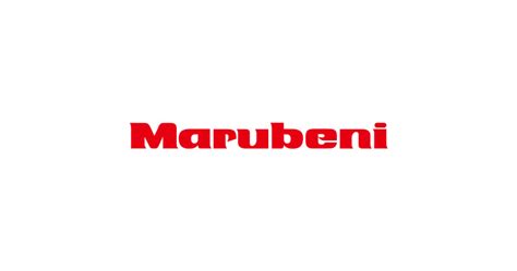 Eneos and Marubeni unveil greener ethylene carrier - DatamarNews