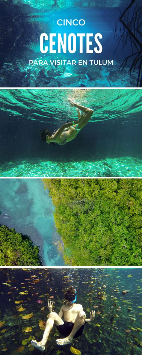 Los 5 Mejores Cenotes Para Visitar En Tulum Viajes En Mexico Viajes