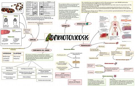 Ofidiotoxicosis Eve Meds Udocz