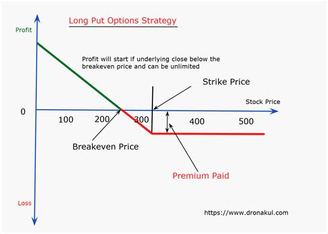 learn basics  advanced long put short put protective put options