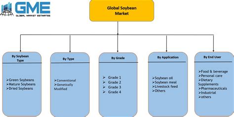 Global Soybean Market Analysis | Size & Forecasts