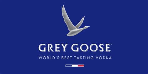 Grey Goose Logo - A Brand overview | ABBlogging