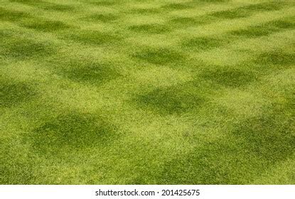 5,845 Lawn mowing patterns Images, Stock Photos & Vectors | Shutterstock