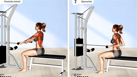 Ejercicio De Lat Pulldown Con Agarre Supino Gu A Completa Ifitness