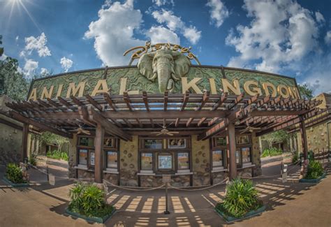 Today In Disney History 1998 Disneys Animal Kingdom Opened