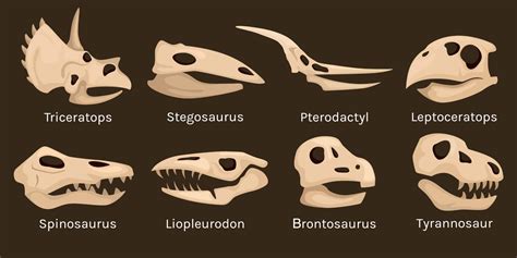 Dinosaurs Skull Icon Set Vector Art At Vecteezy