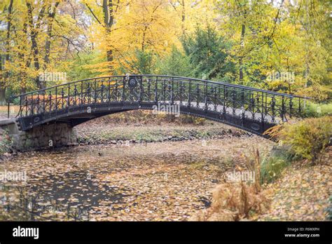 Iron Bridge Over The Pond Covered With Fallen Leaves In Autumn Colorful