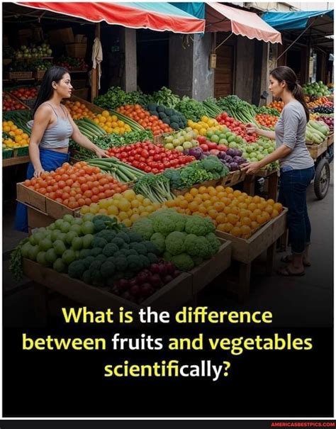 What Is The Difference Between Fruits And Vegetables Scientifically