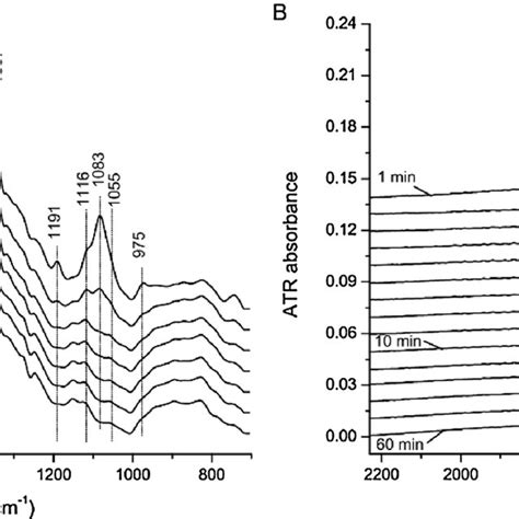 Ftir Spectra After Pyridine Adsorption On Pt Zro A B And