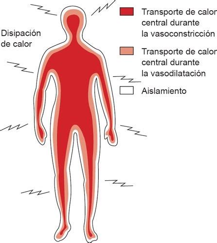 01 Regulación de la temperatura corporal Enfermería