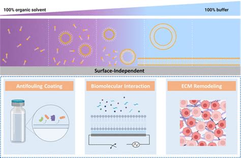 Artificial Cell Membrane Platforms By Solvent Assisted Lipid Bilayer