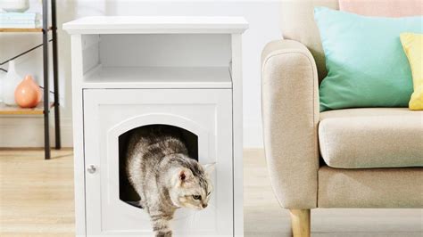 The Best Cat Litter Box Furniture in 2022 | Reviews