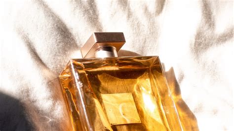 EDT vs EDP: The 5 Main Types of Perfumes - Perfume N Cologne