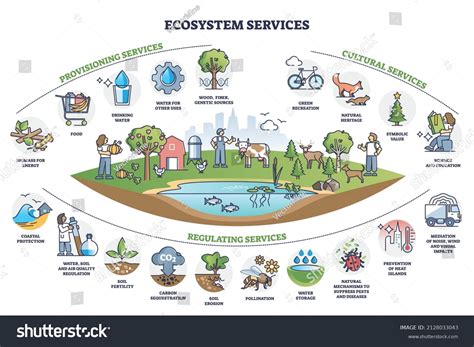 1,241 Ecosystem Graph Images, Stock Photos & Vectors | Shutterstock