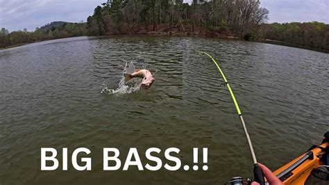 Huge Largemouth Bass And Jumbo Crappie On A Paddle Tail Youtube