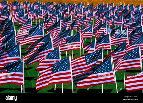 Twin Falls Idaho Usa United States America Flags Banners