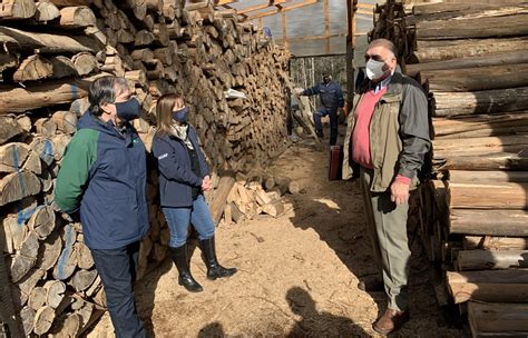 Indap Y Conaf Financiar Proyectos De Peque Os Agricultores De La