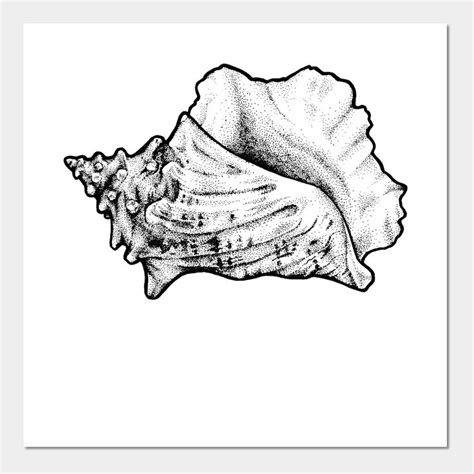 Beautiful Conch Shell Art Print