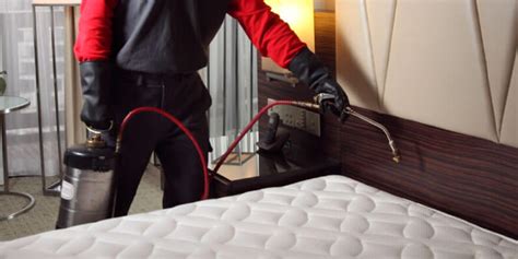 Bed Bug Exterminator | Nest Pest Control Washington DC