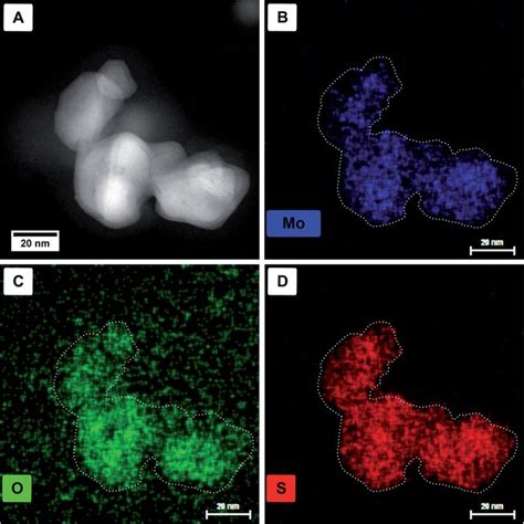 HAADF STEM Images A And Single Elemental EDX Maps Of Molybdenum B