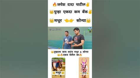 🔥तुम्हाला काय वाटंय मथुर And सोन्या🔥 👑एकत्र येतील का👑 Youtube