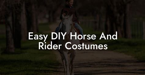 Easy DIY Horse And Rider Costumes - How To Own a Horse