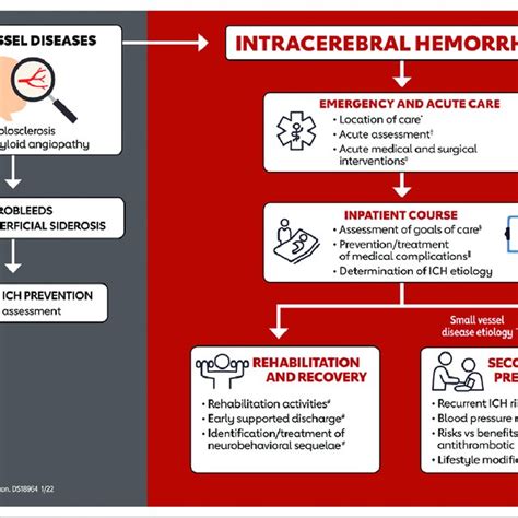 Pdf 2022 Guideline For The Management Of Patients With Spontaneous