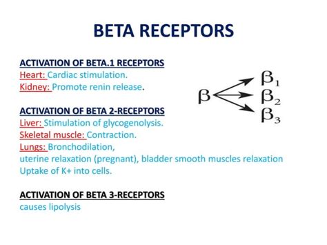 Beta blockers - pharmacology | PPT