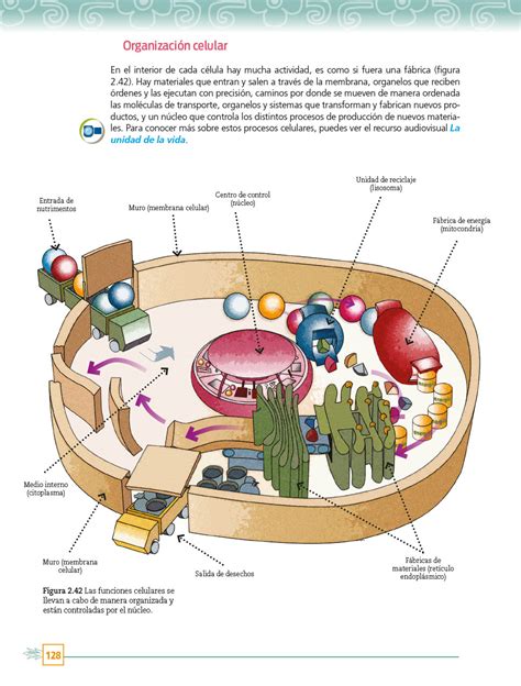 Ciencias y Tecnología Biología Primero Telesecundaria 2022 2023