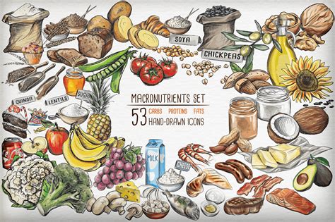 Macronutrient Structure Diagram Poster Poster Macronutrients