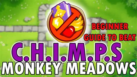 Beginners Guide To Beat Chimps Monkey Meadows Btd Youtube