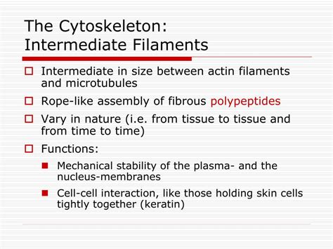 chapter  cell structure function outline powerpoint