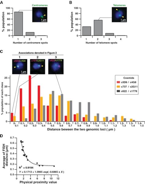 Mapping Of Long Range Associations Throughout The Fission Yeast Genome