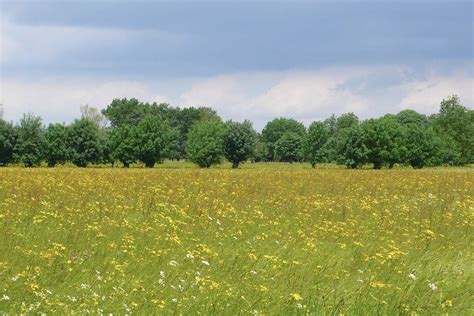 Les Paysages De La Loire Contrat Pour La Loire Et Ses Annexes