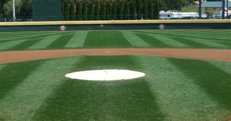 Police On The Hunt For Naked Baseball Burglar Crazy The Horn News