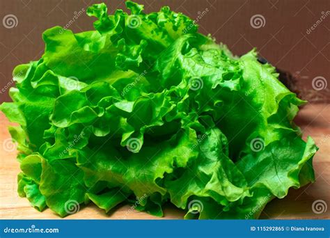 Pile Of Fresh Organic Letucce Heads Harvest Heap Of Freshly Cut Green