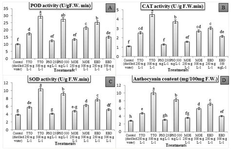 Scielo Brasil Study Postharvest Characteristics Chemical Composition