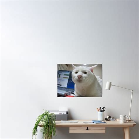 "Serious Cat Meme" Poster by FlashmanBiscuit | Redbubble